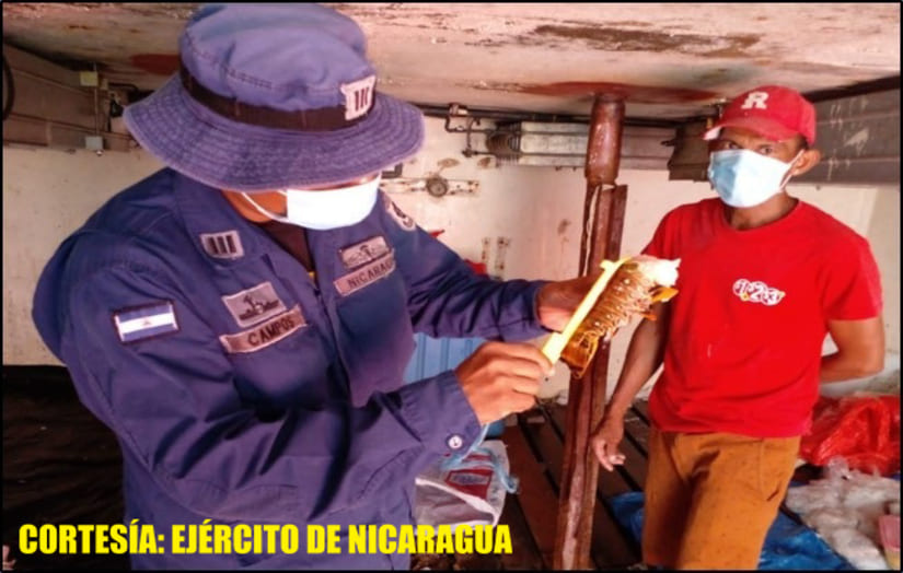 ejercito